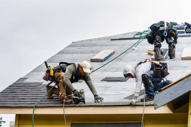 Professional Storm Damage Roof Repair technician working in Latta, OK